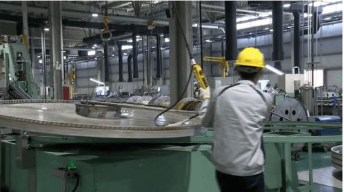 致力于綠色發(fā)展 致佳咨詢ISO14001環(huán)境管理體系咨詢服務案例分享