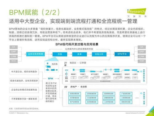 2021年中國企業服務研究報告 信息咨詢服務的發展與洞察