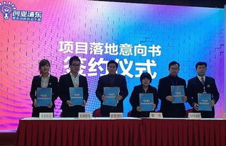 上海建橋學院就業信息服務網 連接學子與職場的智慧橋梁